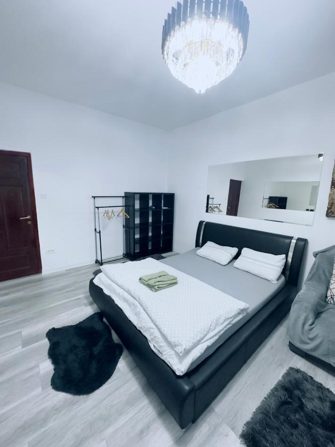 Piata Libertatii Apartament 1 Room Timişoara Eksteriør bilde